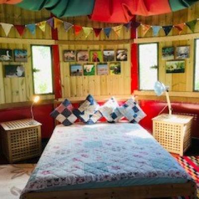 Hook a Duck!!!  Now a WOODEN CABIN !! Acorn Ponds Quirky latest Glamping accommodation Image