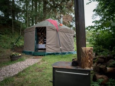 The Black Swan The Black Swan